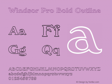 Windsor Pro Bold Outline Version 2.00图片样张