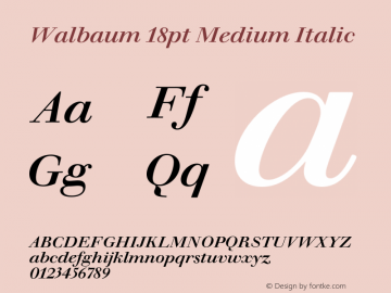 Walbaum 18pt Medium Italic Version 1.01, build 5, s3图片样张