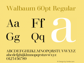 Walbaum 60pt Regular Version 1.00, build 15, s3图片样张