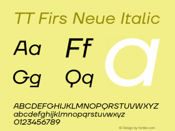 TT Firs Neue Italic Version 1.100图片样张