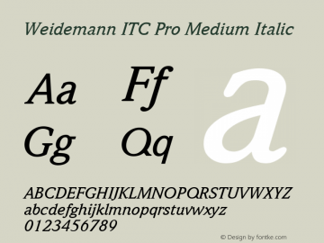 Weidemann ITC Pro Medium Italic Version 1.00 Build 1000图片样张