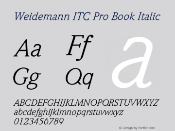 Weidemann ITC Pro Book Italic Version 1.00 Build 1000图片样张