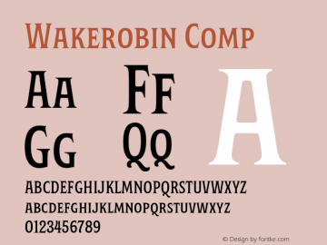 Wakerobin Comp Version 1.00图片样张