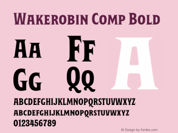 Wakerobin Comp Bold Version 1.00图片样张