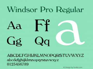 Windsor Pro Regular Version 2.00图片样张