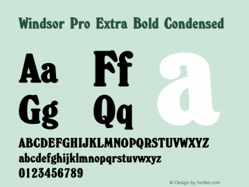 Windsor Pro Extra Bold Condensed Version 2.00图片样张