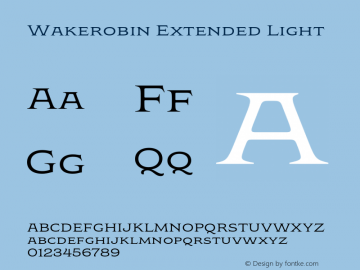 Wakerobin Extended Light Version 1.00图片样张