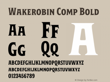 Wakerobin Comp Bold Version 1.00图片样张