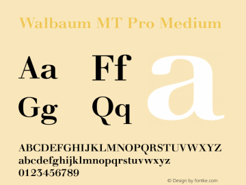 WalbaumMTPro-Medium Version 1.000 Build 1000图片样张