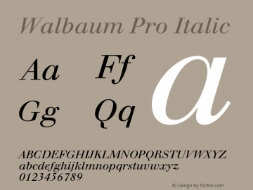 WalbaumPro-Italic Version 1.000 Build 1000图片样张