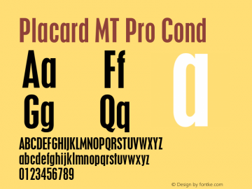 Placard MT Pro Cond Version 2.00 Build 1000图片样张