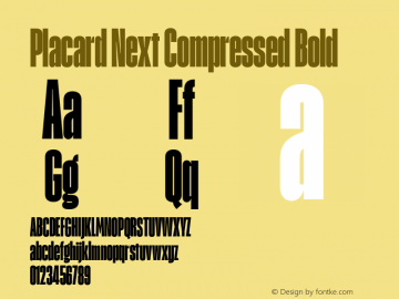 Placard Next Comp Bold Version 1.10, build 16, s3图片样张