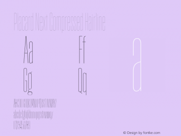 Placard Next Comp Hairline Version 1.10, build 16, s3图片样张