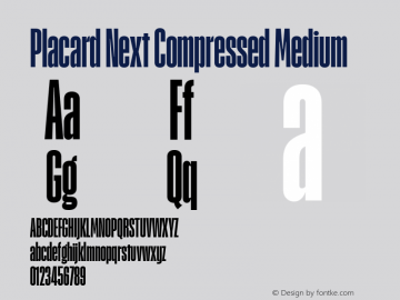 Placard Next Comp Medium Version 1.10, build 16, s3图片样张