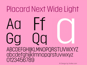 Placard Next Wide Light Version 1.10, build 16, s3图片样张