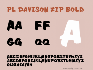 PL Davison Zip Bold Version 1.00图片样张