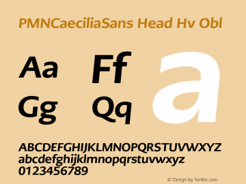 PMNCaeciliaSans Head Hv Obl Version 1.00图片样张