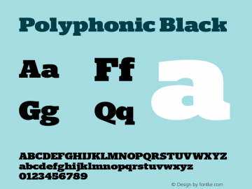 Polyphonic Black Version 1.000;PS 001.000;hotconv 1.0.88;makeotf.lib2.5.64775图片样张