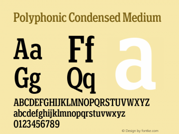 Polyphonic Condensed Medium Version 1.000;PS 001.000;hotconv 1.0.88;makeotf.lib2.5.64775图片样张