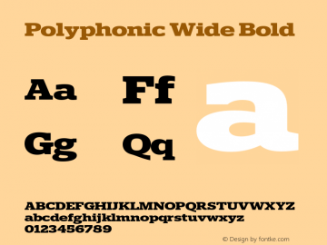 Polyphonic Wide Bold Version 1.000;PS 001.000;hotconv 1.0.88;makeotf.lib2.5.64775图片样张
