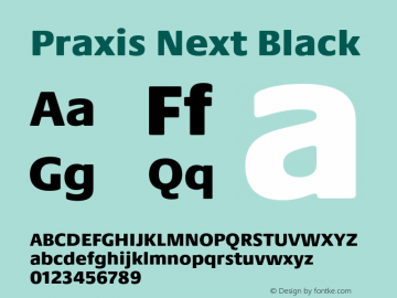 Praxis Next Black Version 1.00, build 6, g2.4.3 b983, s3图片样张