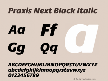 Praxis Next Black Italic Version 1.00, build 6, g2.4.3 b983, s3图片样张