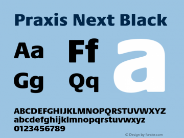Praxis Next Black Version 1.00, build 7, g2.4.3 b983, s3图片样张