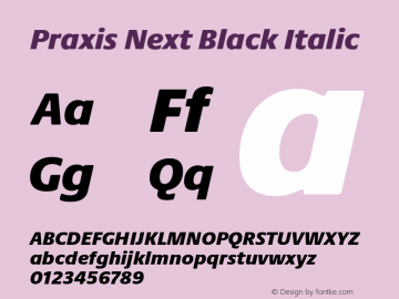 Praxis Next Black Italic Version 1.00, build 7, g2.4.3 b983, s3图片样张