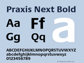 Praxis Next Bold Version 1.00, build 7, g2.4.3 b983, s3图片样张