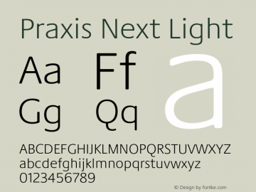 Praxis Next Light Version 1.00, build 6, g2.4.3 b983, s3图片样张