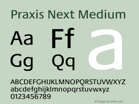 Praxis Next Medium Version 1.00, build 6, g2.4.3 b983, s3图片样张