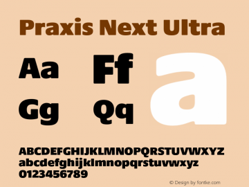 Praxis Next Ultra Version 1.00, build 6, g2.4.3 b983, s3图片样张