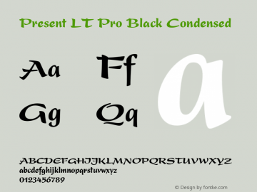 Present LT Pro Black Condensed Version 2.00 Build 1000图片样张