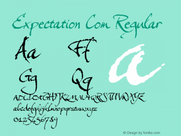 Expectation Com Version 2.00; 2010图片样张