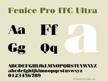 Fenice Pro ITC Ultra Version 3.00 Build 1000图片样张