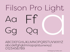 FilsonProLight Version 3.000图片样张