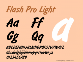 FlashPro-Light Version 1.00图片样张