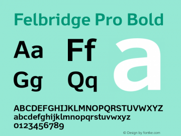 FelbridgePro-Bold Version 1.100图片样张