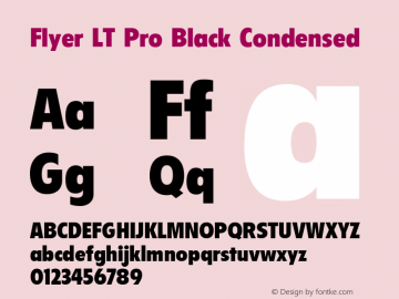 Flyer LT Pro Black Condensed Version 1.00 Build 1000图片样张