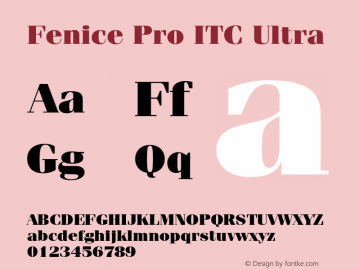 FeniceProITC-Ultra Version 3.000 Build 1000图片样张