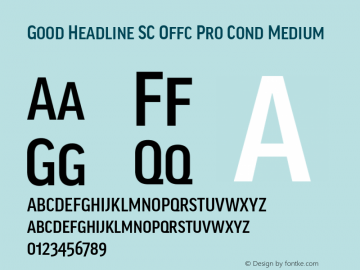 Good Head SC Offc Pro Cond Medium Version 7.504; 2010; Build 1022图片样张