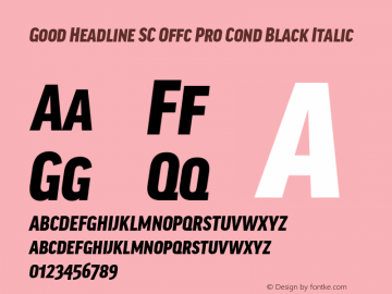 Good Head SC Offc Pro Cond Black Italic Version 7.504; 2010; Build 1022图片样张