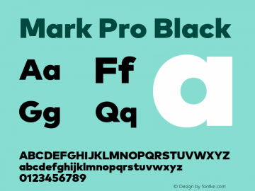 Mark Pro Black Version 7.60图片样张