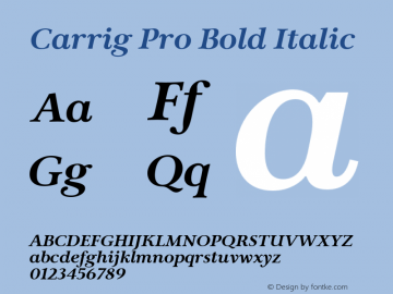 Carrig Pro Bold Italic Version 3.000;PS 003.000;hotconv 1.0.88;makeotf.lib2.5.64775图片样张