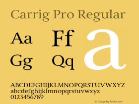 Carrig Pro Regular Version 3.000;PS 003.000;hotconv 1.0.88;makeotf.lib2.5.64775图片样张