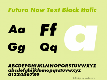 Futura Now Text Blk It Version 1.01图片样张