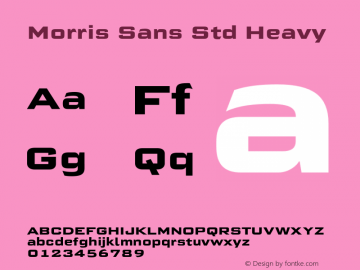 MorrisSansStd-Heavy Version 1.00图片样张