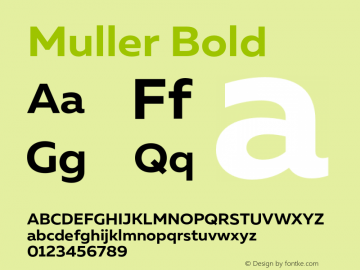 Muller-Bold Version 1.000;PS 001.000;hotconv 1.0.88;makeotf.lib2.5.64775图片样张