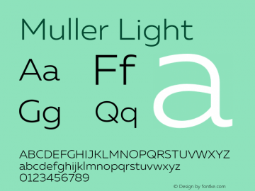 Muller-Light Version 1.000;PS 001.000;hotconv 1.0.88;makeotf.lib2.5.64775图片样张