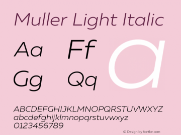 Muller-LightItalic Version 1.000;PS 001.000;hotconv 1.0.88;makeotf.lib2.5.64775图片样张